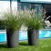 Topf Geisha Pool Eternit JardinChic