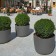 Topf Kyoto Terrasse Eternit JardinChic