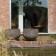 Topf Lava Domani JardinChic