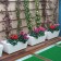 Topf Kabin lange Serralunga JardinChic
