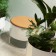 Hocker grün Sockeln die Offecct Jardinchic