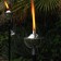 Fackel Roma Jardinchic
