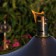 Zoom Fackel Roma Aristo Jardinchic