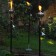 Fackel Roma Aristo Jardinchic