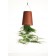 Jardinière Sky Planter Medium Burnt Terracotta Boskke Jardinchic