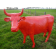 Statue Vache Rouge - Vue de face - Tex Artes Jardinchic